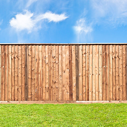 Fence & Deck Cleaning