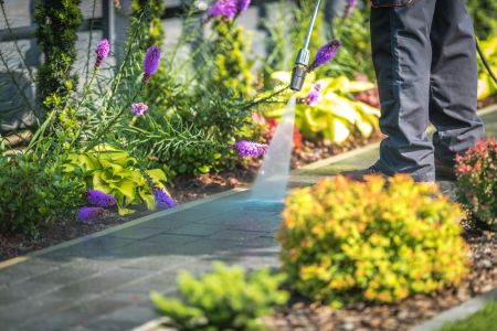 Cleaning Your Sidewalks: Fix Hazards & Curb Appeal Problems